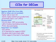 CCDs for DECam