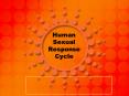 Human Sexual Response Cycle PowerPoint PPT Presentation