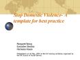 Stop Domestic Violence A template for best practice PowerPoint PPT Presentation
