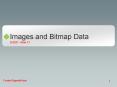 Images and Bitmap Data PowerPoint PPT Presentation