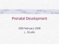 Prenatal Development PowerPoint PPT Presentation