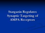 Stargazin Regulates Synaptic Targeting of AMPA Receptors