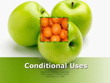 Meg Ryan, Planning Consultant