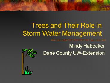Trees and Their Role in Storm Water Management presentation | free to view