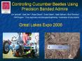 Controlling Cucumber Beetles Using Precision Banded Admire PowerPoint PPT Presentation