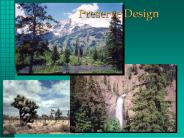 Preserve Design