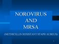 NOROVIRUS AND MRSA PowerPoint PPT Presentation