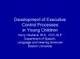 Development of Executive Control Processes in Young Children PowerPoint PPT Presentation