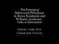 The Emerging Behavioral Phenotype in Down Syndrome and Williams syndrome: Links to Intervention PowerPoint PPT Presentation