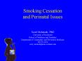 Smoking Cessation and Perinatal Issues PowerPoint PPT Presentation