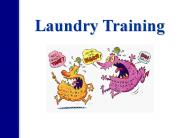 Laundry Training