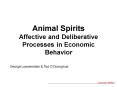 Animal Spirits Affective and Deliberative Processes in Economic Behavior