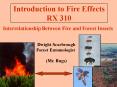 Introduction to Fire Effects PowerPoint PPT Presentation