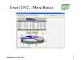 Excel 2002More Basics PowerPoint PPT Presentation