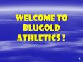 WELCOME TO BLUGOLD ATHLETICS PowerPoint PPT Presentation