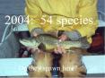 2004: 54 species PowerPoint PPT Presentation