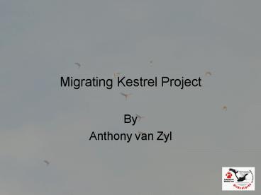 Migrating Kestrel Project
