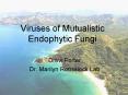 Viruses of Mutualistic Endophytic Fungi PowerPoint PPT Presentation