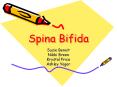 Spina Bifida PowerPoint PPT Presentation