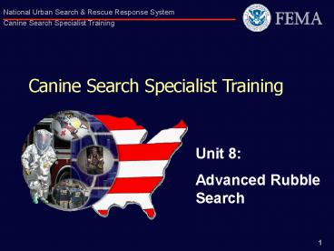 Canine Search Specialist Training