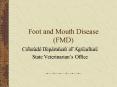Foot and Mouth Disease FMD PowerPoint PPT Presentation