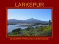 LARKSPUR PowerPoint PPT Presentation