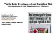 Youth, Brain Development and Gambling Risk Intersections on the Developmental Highway PowerPoint PPT Presentation
