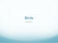 Birds PowerPoint PPT Presentation