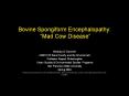 Bovine Spongiform Encephalopathy:  PowerPoint PPT Presentation