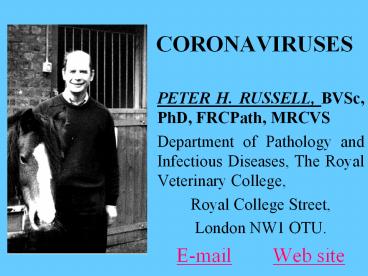 CORONAVIRUSES