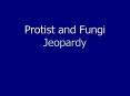Protist and Fungi Jeopardy PowerPoint PPT Presentation