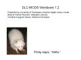 DLC-MODS Workbook 1.2. Pinky says, 'Hello.' Presented b PowerPoint PPT Presentation