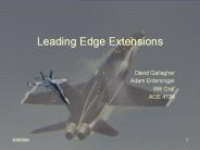 Leading%20Edge%20Extensions