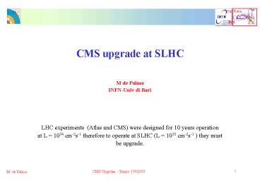 CMS upgrade at SLHC