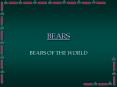 BEARS PowerPoint PPT Presentation