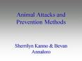 Animal Attacks and Prevention Methods PowerPoint PPT Presentation