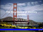 The Persistence of Memory Issues