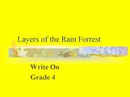 Layers of the Rain Forrest