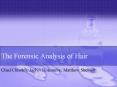 The Forensic Analysis of Hair PowerPoint PPT Presentation