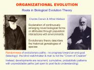 ORGANIZATIONAL EVOLUTION