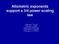 Allometric exponents support a 34 power scaling law PowerPoint PPT Presentation