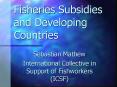 Fisheries Subsidies and Developing Countries PowerPoint PPT Presentation