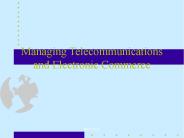 Managing Telecommunications and Electronic Commerce