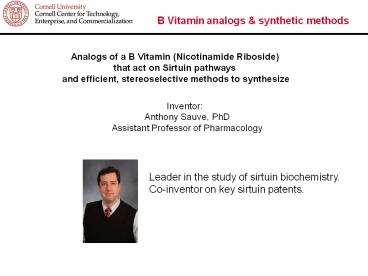 B Vitamin analogs & synthetic methods. Analogs of a 
