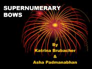 SUPERNUMERARY BOWS