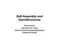 SelfAssembly and NanoStructures PowerPoint PPT Presentation
