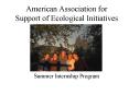 American Association for Support of Ecological Initiatives PowerPoint PPT Presentation