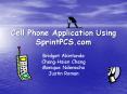 Cell Phone Application Using SprintPCS.com PowerPoint PPT Presentation