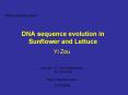 DNA sequence evolution in Sunflower and Lettuce PowerPoint PPT Presentation
