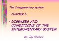 The Integumentary system PowerPoint PPT Presentation
